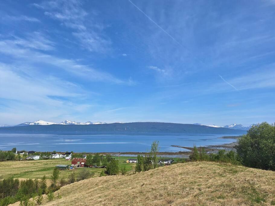 Privat Leilighet Pa Gard Med Badstue Og Nordlys 纳尔维克 外观 照片
