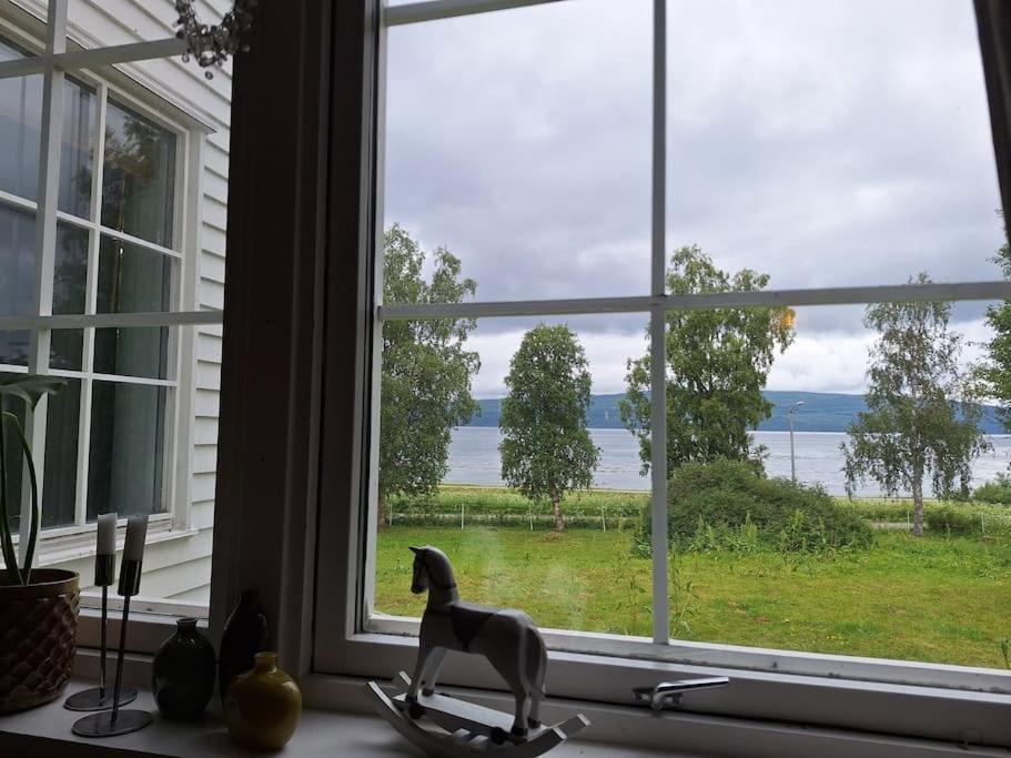 Privat Leilighet Pa Gard Med Badstue Og Nordlys 纳尔维克 外观 照片