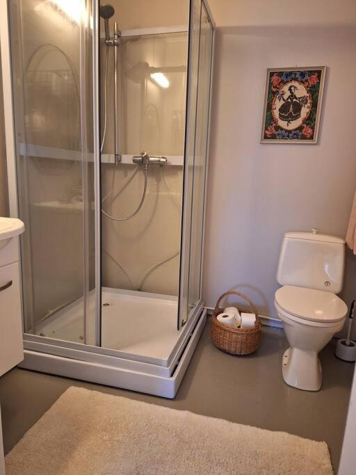 Privat Leilighet Pa Gard Med Badstue Og Nordlys 纳尔维克 外观 照片