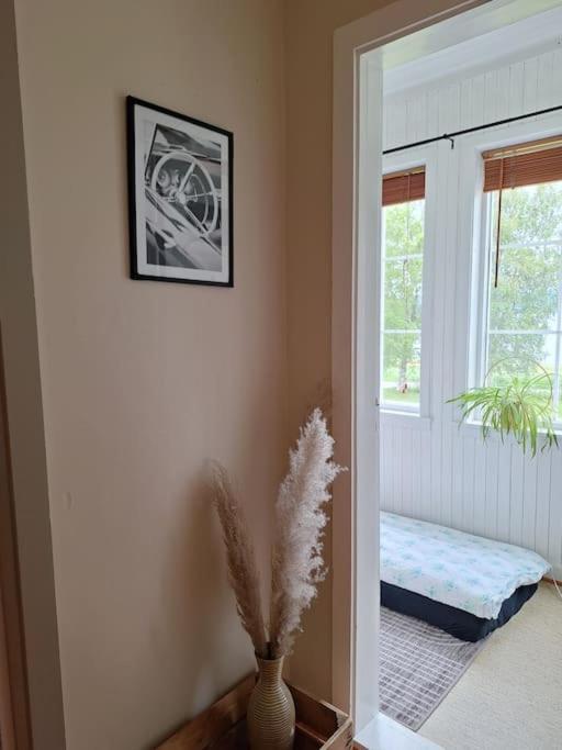 Privat Leilighet Pa Gard Med Badstue Og Nordlys 纳尔维克 外观 照片