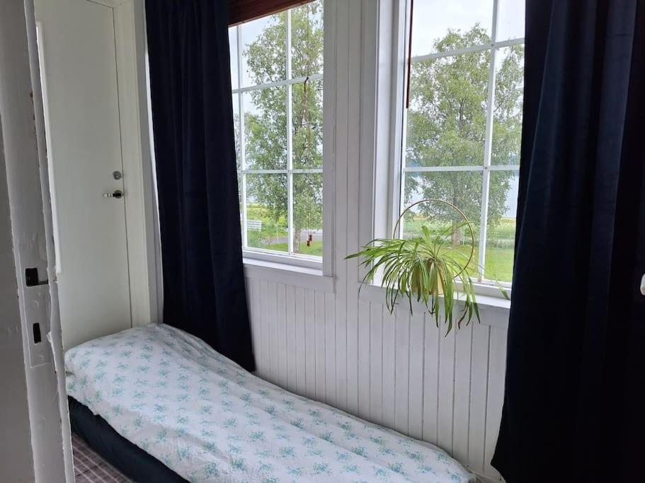 Privat Leilighet Pa Gard Med Badstue Og Nordlys 纳尔维克 外观 照片