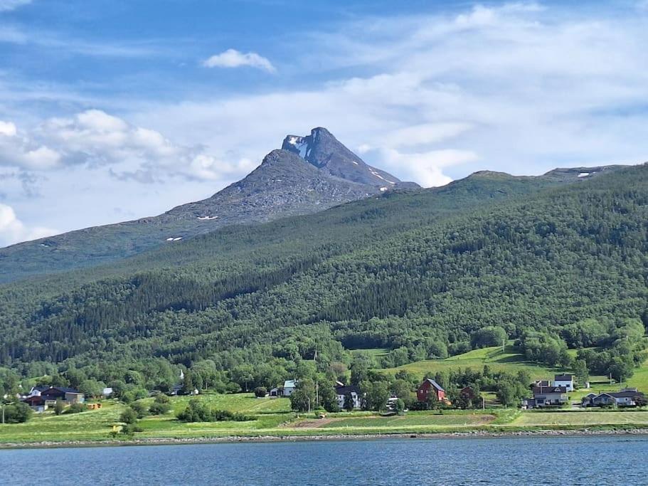 Privat Leilighet Pa Gard Med Badstue Og Nordlys 纳尔维克 外观 照片