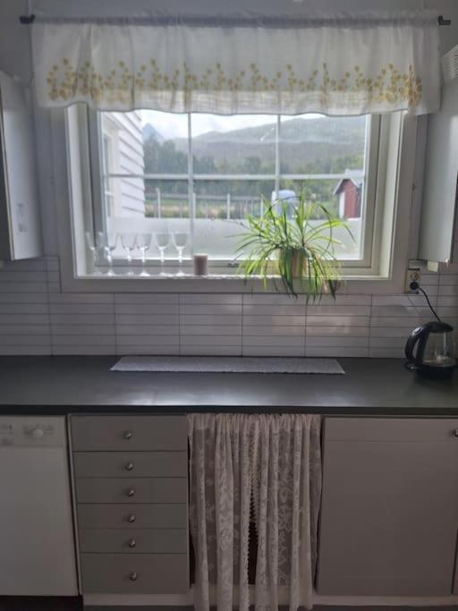 Privat Leilighet Pa Gard Med Badstue Og Nordlys 纳尔维克 外观 照片